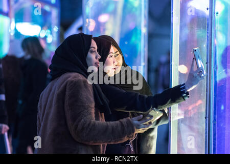 Canary Wharf, London, Großbritannien, 15. Januar, 2019. Die 'Prismatica" Installation in Jubilee Square. Die Canary Wharf Winter Lights Installationen für die Öffentlichkeit zugänglich in und um Canary Wharf von Jan 15 bis Jan 26. Quelle: Carol Moir/Alamy leben Nachrichten Stockfoto