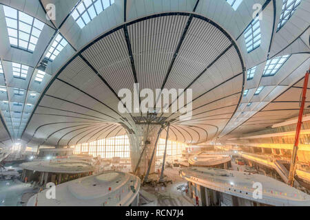 Peking, Peking, China. 16 Jan, 2019. Peking, China - die Inneneinrichtung der Pekinger Daxing International Airport. Pekinger Daxing International Airport, an der Grenze von Beijing und Langfang, Provinz Hebei, ist der zweite internationale Flughafen von Peking und befindet sich derzeit im Aufbau. Der neue Flughafen erwartet Insgesamt 7 Start- und Landebahnen in Zukunft 620.000 Flüge und 100 Millionen Fahrgäste pro Jahr. Credit: SIPA Asien/ZUMA Draht/Alamy leben Nachrichten Stockfoto