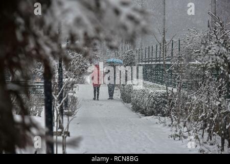 Kaschmir. Januar 16, 2019 - Srinagar, J&K, - Bewohner Spaziergang durch einen Park Schnee bedeckt während starker Schneefall in Srinagar, Kashmir verwaltet. Schneefall begann im Kaschmir-tal, brechen die intensive Kälte wave Bedingungen. Das Wetter hat der Mensch bereits schwere Schneefälle für mindestens fünf Tage ab dem 19. Januar vorausgesagt. Credit: Saqib Majeed/SOPA Images/ZUMA Draht/Alamy leben Nachrichten Stockfoto