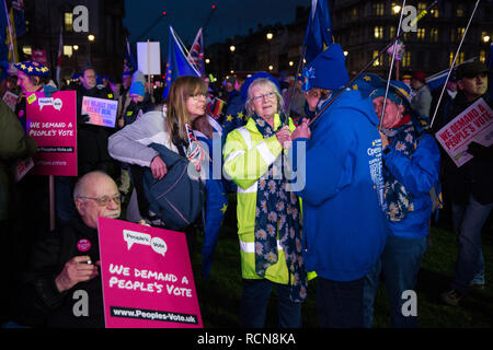 London, Großbritannien. 15. Januar, 2019. Pro-EU-Aktivisten besuchen einen Menschen abstimmen Rallye im Parlament Platz als MPs Abstimmung im Unterhaus auf Premierminister Theresa's Mai vorgeschlagenen endgültigen Rückzug Brexit Vereinbarung. Credit: Mark Kerrison/Alamy leben Nachrichten Stockfoto