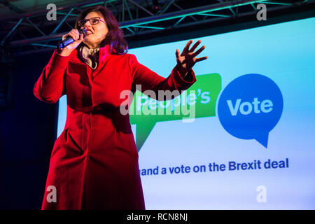 London, Großbritannien. 15. Januar, 2019. Layla Moran, Liberaldemokratischen MP für Oxford Westen und Abingdon, Adressen pro-EU-Aktivisten an eine Abstimmung im Parlament Platz als MPs Abstimmung im Unterhaus auf Premierminister Theresa's Mai vorgeschlagenen endgültigen Rückzug Brexit Vereinbarung. Credit: Mark Kerrison/Alamy leben Nachrichten Stockfoto