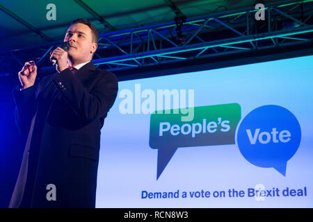 London, Großbritannien. 15. Januar, 2019. Wes Streeting, Labour MP für Ilford Nord, Adressen pro-EU-Aktivisten an eine Abstimmung im Parlament Platz als MPs Abstimmung im Unterhaus auf Premierminister Theresa's Mai vorgeschlagenen endgültigen Rückzug Brexit Vereinbarung. Credit: Mark Kerrison/Alamy leben Nachrichten Stockfoto