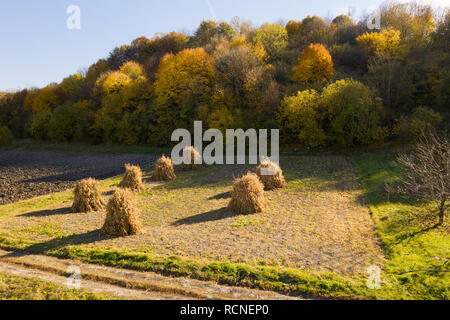 Luftaufnahme von Gras Stacks im Herbst, Oblast Lwiw, Ukraine Stockfoto