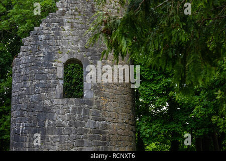 Dysert, County Clare, Irland Stockfoto