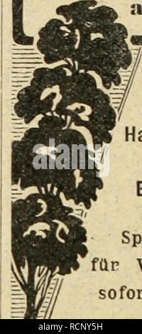 . Gartenkunst sterben. Landschaftsbau; Gärten - Europa. Extra starke Park-n. Alleebäume auf weite Entfernung verpflanzt. = grosse Coniferen (Taxus>^s 4 m hoch). == Starke Ziergehölze und Sträucher. - Hochstämmige u. niedrige Rosen. - Pflanzen für moderne Hecken und Gärten. Man verlange illustrierten Katalog. Bei grösserem Bedarf und Wagonladung Vorzugspreise. G. Fr" ah. im, Baumschulen, Elmshorn in Schleswig-holstein.. Ssrottensteine zur Anlage von Felsenpartien, Ruinen, Grotten, Wasserfällen, Lourdes - Grotten, Wintergärten, Wand- und Decken-Be-Kleidung-, Weg-, Zuckerrüben-, Gräber-Einfassungen. Ssaturbo Stockfoto