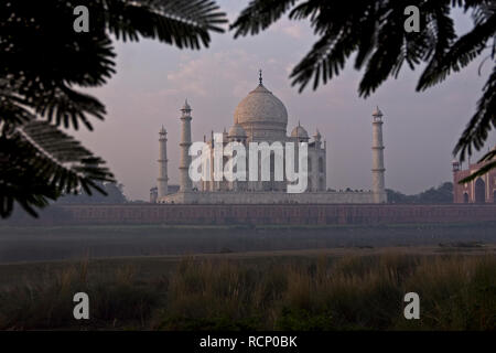 Taj Mahal am frühen Morgen anzeigen Stockfoto