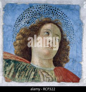 Kopf eines jungen Apostel. Museum: Pinacoteca Vaticana, Rom. Autor: MELOZZO DA FORLI. Stockfoto