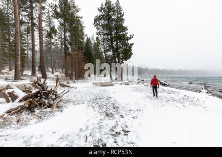 Ein Wanderer erforscht die Ufer der Gefallenen Leaf Lake im Winter Schnee Sturm. Stockfoto