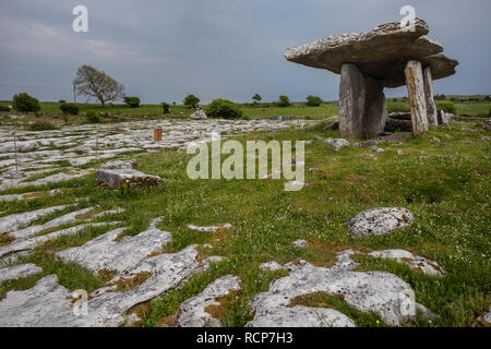 Poulnabrone, County Clare, Irland Stockfoto