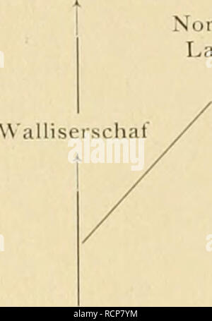 . Die Abstammung der ältesten Haustiere... Heimische Tiere. Norfolkschaf. Norddeutsche Landschafe Nigerschaf/ackelschafe/Dinkaschat Haidschnucken Sardensohaf/Kettsteiss-schaf Pettschwan/. schal Fezzanschaf Nedjeschaf (1001) "Bündnerschaf//Torfschaf Ovis niiisimoii Ovis arkal (Maschinen-ingenieur) (Westasien) Altägyptisches Schaf Negadahschaf Aniiuutragns Hausschilf iragelaplms (Afrika), das zum Teil hängeohrig Krieg und in Schlägen gezüchtet wiu-de, von denen nur wenig veränderte Nachkommen jetzt noch leben. Eines jener Rassenfragmente tritt uns beispielsweise am oberen Nil im Diiikasc/iaf e Stockfoto