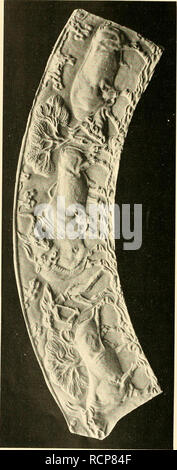 . Die Abstammung der ältesten Haustiere... Heimische Tiere. 142 nie Abstammung der ältesten Haustiere.. Bitte beachten Sie, dass diese Bilder sind von der gescannten Seite Bilder, die digital für die Lesbarkeit verbessert haben mögen - Färbung und Aussehen dieser Abbildungen können nicht perfekt dem Original ähneln. extrahiert. Keller, Conrad, b. 1857. Zürich, F. Amberger Stockfoto