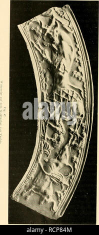 . Die Abstammung der ältesten Haustiere... Heimische Tiere. 140 sterben Abstammung der ältesten Haustiere.. Bitte beachten Sie, dass diese Bilder sind von der gescannten Seite Bilder, die digital für die Lesbarkeit verbessert haben mögen - Färbung und Aussehen dieser Abbildungen können nicht perfekt dem Original ähneln. extrahiert. Keller, Conrad, b. 1857. Zürich, F. Amberger Stockfoto