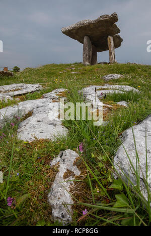 Poulnabrone, County Clare, Irland Stockfoto