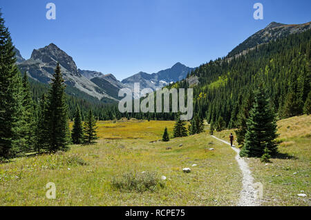Ferner Frau weg Wandern auf Sangre De Cristo Mountain Trail mit Blanca Peak im Abstand bis das Tal Stockfoto