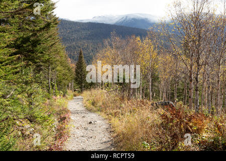 Wanderweg in der gaspésie National Park (Parc National de la Gaspésie) auf der Halbinsel Gaspé Quebec, Kanada. Der Weg steigt auf den Gipfel des Mont Stockfoto