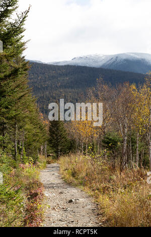 Wanderweg in der gaspésie National Park (Parc National de la Gaspésie) auf der Halbinsel Gaspé Quebec, Kanada. Der Weg steigt auf den Gipfel des Mont Stockfoto