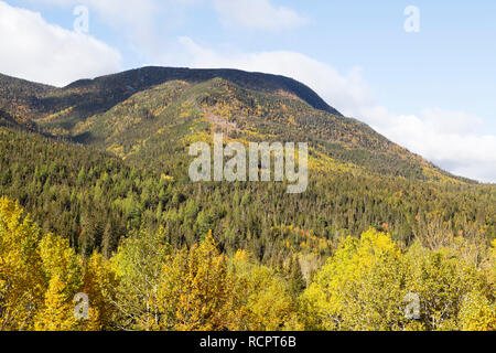 Herbstfarben im Gaspésie National Park (Parc National de la Gaspésie) auf der Halbinsel Gaspé Quebec, Kanada. Stockfoto