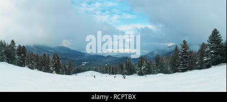 Tanne Wald Panorama mit hohen Bäumen Schnee entlang der verschneiten Piste des Pirin-gebirges mit Nebel Wolken in Bansko, Bulgarien wächst. Stockfoto