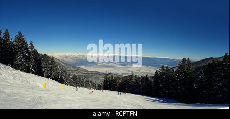 Bansko Resort Panorama mit Skipiste im Wald und Schnee Bäume, Bulgarien Stockfoto