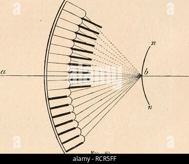 . Wörterbuch de Physiologie. Physiologie. DIOPTRIQUE OCULAIRE. 1^25 Pour avoir examinÃ © [leurs Yeux à l'aide d'une ou de deux Lumières, comme il est dit plus Haut, ExNER zitieren comme arthropodes à Bilder par Superposition les suivants, en fait de ColÃ © optÃ¨res, Lampyris, Telephorns, Cantharis, HydropJdlm piceus, Cetonia; puis Les Papillons nocturnes. Probablement beaucoup de crustacÃ©s ont des Bilder par Superposition. Mais Exner n'a pas rÃ©ussi Ã le Dekor montrer par l'expÃ©Erfahrung, ich liebe que les Côté nes n'y adhÃ¨mieten pas à la cornÃ©e, cette circonstance qui rend expÃ©Erfahrung difficile (Mais nicht im Stockfoto