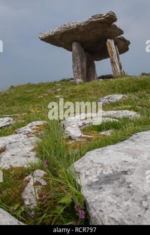 Poulnabrone, County Clare, Irland Stockfoto