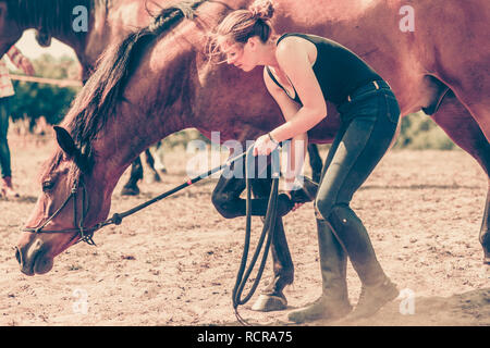 Tierische und menschliche Liebe, equine Konzept. Jockey Woman die Pflege von Pferd Stockfoto