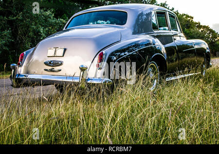 Rückansicht der Stamm eines zwei getönten, Luxus, Oldtimer auf einer Texas Landstraße mit hohen Gras. Stockfoto