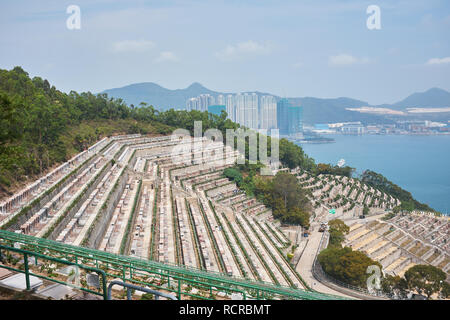 Tseung Kwan O Chinesische ständige Friedhof Stockfoto