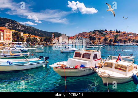 Blick auf erstaunliche Archipel mit Fischerbooten vor der Stadt Hvar, Kroatien. Hafen der alten Adria Insel Hvar mit der Möwe fliegen über den Stockfoto