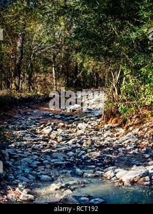 Das Waldland TX USA - 12/21/2018-Trail im Wald gewaschen Stockfoto