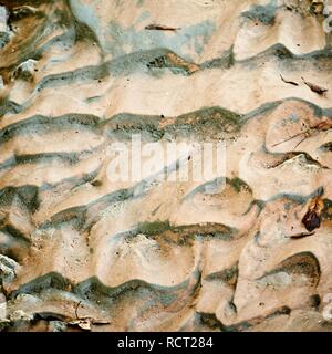 Das Waldland TX USA - 10-30-2018 - Sand in trockenen Stream Stockfoto