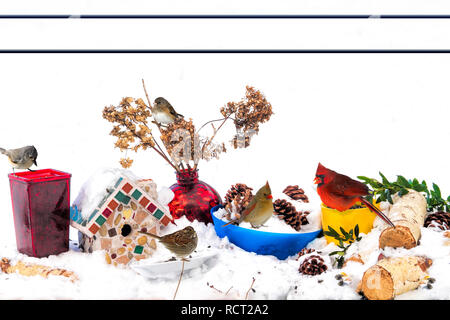 Vögel sammeln auf Grundlagen nach dem Schneesturm zu füttern. Farbige Vasen und Behälter und kleinen Vogelhaus im Bild. Stockfoto