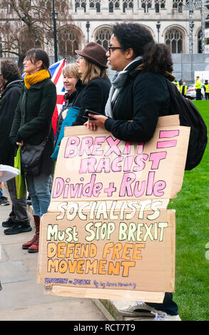 Demonstranten versammeln sich vor der bedeutungsvollen Abstimmung außerhalb des parlaments, London, Großbritannien. Januar 2019 Stockfoto