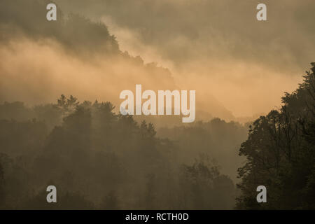 Misty Sonnenaufgang über den Wald. Bieszczady-gebirge Stockfoto