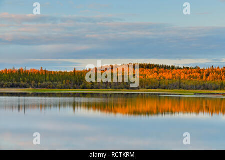 Abend Himmel in wohlhabenden See, wohlhabenden See Territorial Park, Yellowknife, Nordwest-Territorien, Kanada wider Stockfoto