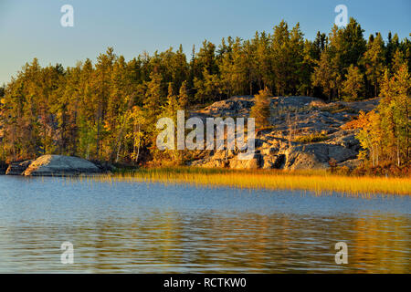 Langer See Shoreline, Fred Henne Territorial Park, Yellowknife, Nordwest-Territorien, Kanada Stockfoto