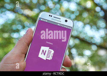 MONTREAL, KANADA - 23. MAI 2016 - Microsoft Office OneNote Anwendung auf Samsung S7. Stockfoto