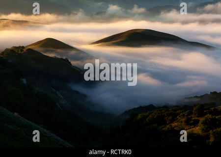 Nebel umgibt die Hügel von Las Trampas Regional Park in der East Bay Hügel von der San Francisco Bay Area. Stockfoto