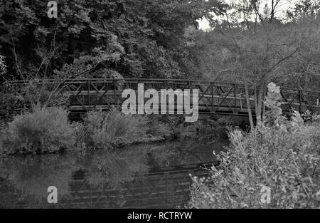 Kleinen Fußgängerzone Brücke über einen kleinen Bach, Springfield, Virginia, USA Stockfoto