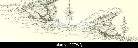 . Der Waldbau. Die Wälder und die Forstwirtschaft. 398 iiüuftltcf) c i^cftanbsgriinbmig. 3 nierc (trüci^Fe u. berc^ I. in Ben 5 TuItmpIdfecn forgfältig ert) [10 iinb gefd^ ont unt* in iijvem Scfjul^e gefäet ober gepflatist befonberö mcrben, - im § 0 (^= Yi-JC-iVx. Mg - 86. Gebirge. ® o Fold^C^^ atitrniüdjfe fel) (en,! önnen fie aud^^ fünftHdj burd'i^Pr = Bau einer miberftanbefräftigen.^^-oUart in Orm oon nerein^ elten, Gruppen = Ober (jorflroeife uerteilten © d; ul ^ (} 0 l^^, meldjc oetettC ber nadjfolgenben Kultur ben errcünfdjten&lt; Seiten [d; u ^ ^ u gemäljrcn nermögen, gefd^ Affen tncrben. gl gieOt ober aud) O-^'i^lf' i& Stockfoto