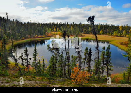 Eine boreal Teich mit Herbst Laub in der Nähe von Ennadai Lake, Arktis Haven Lodge, Ennadai Lake, Nunavut, Kanada Stockfoto