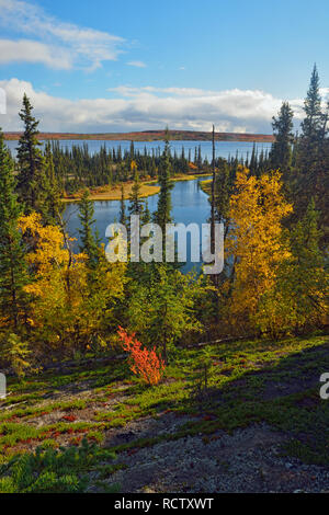 Eine boreal Teich mit Herbst Laub in der Nähe von Ennadai Lake, Arktis Haven Lodge, Ennadai Lake, Nunavut, Kanada Stockfoto