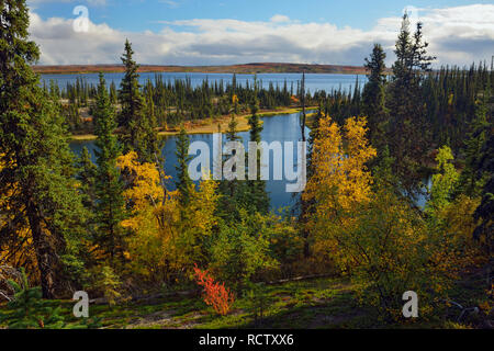 Eine boreal Teich mit Herbst Laub in der Nähe von Ennadai Lake, Arktis Haven Lodge, Ennadai Lake, Nunavut, Kanada Stockfoto