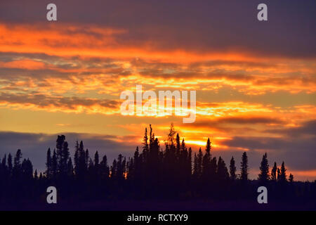 Sonnenuntergang Himmel, Arktis Haven Lodge, Ennadai Lake, Nunavut, Kanada Stockfoto