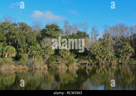 Reflexion der Küstenlinie an Kathryn Abbey Hanna Park, Duval County, Jacksonville, Florida.