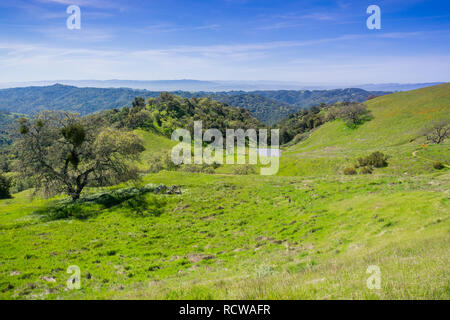 Grüne Hügel und Täler in Henry Coe State Park, Kalifornien Stockfoto