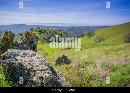 Flechten bedeckte Felsen neben einem Trail in Henry W. Coe State Park, Kalifornien Stockfoto