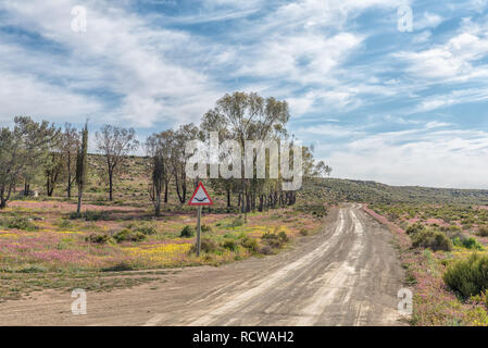 Eine Straße Landschaft mit Lila und Gelb wilde Blumen in der Nähe von Gannaga Lodge in der Tankwa Karoo in Südafrika. Ein Schild sichtbar ist. Stockfoto