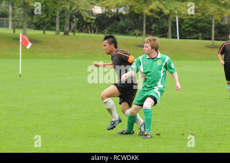 Auckland Sonntag League, Pakuranga United vs Böhmischen Celtic Stockfoto