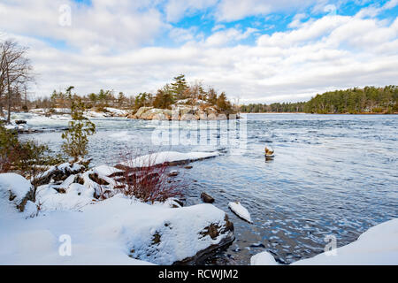 Stoney See hinter Burleigh fällt in der Nähe von Peterborough Ontarip im Winter. Stockfoto